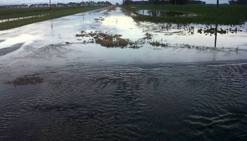 Analizan impacto de las lluvias sobre cultivos