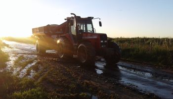Últimas lluvias de abril siguen manteniendo en vilo a la cosecha