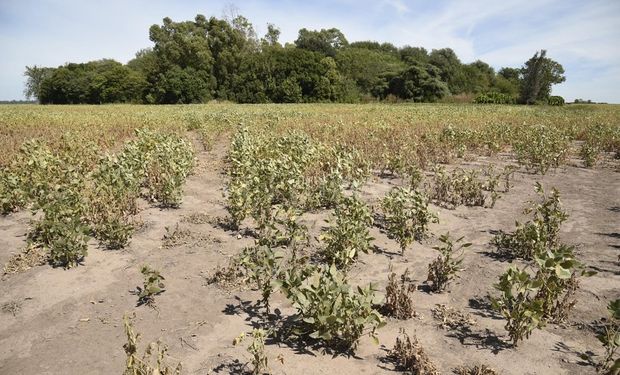 Lluvia y temperatura: qué anomalías se esperan para los próximos meses en el clima