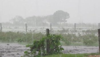 Acumulados: las lluvias dejaron un piso de 50 milímetros en Buenos Aires, Santa Fe y Entre Ríos