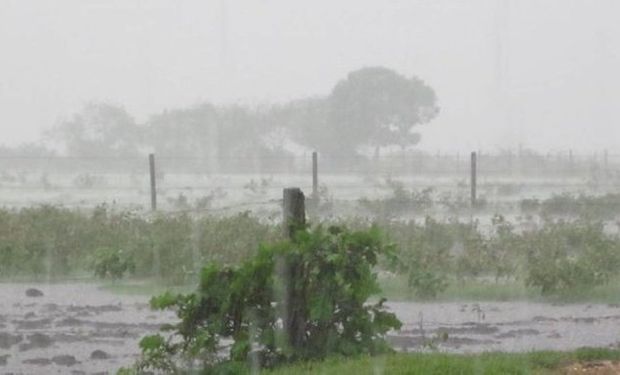 Acumulados: las lluvias dejaron un piso de 50 milímetros en Buenos Aires, Santa Fe y Entre Ríos