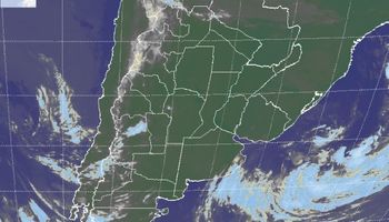 ¿Condiciones ambientales de verano?