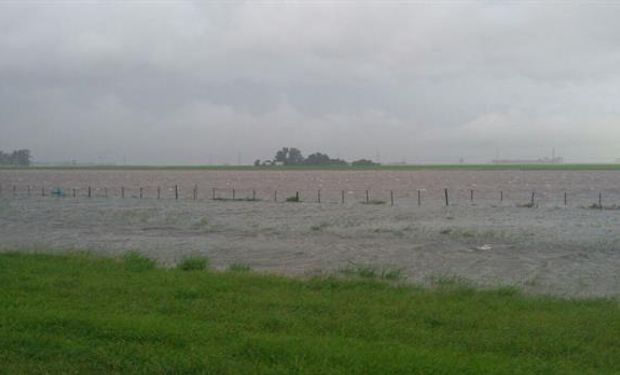 En la zona de San Nicolás, en la provincia de Buenos Aires donde llovieron 200 mm, hay campos anegados. Foto: Gentileza Beatriz Juliá.