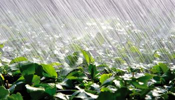 Lluvias: habrá fuertes diferencias en los acumulados pluviales de la región pampeana