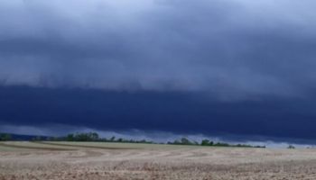 La mejora en el clima brasilero pone freno a los precios del maíz y la soja