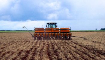 Lluvias permitieron reanudar la siembra de soja en Brasil