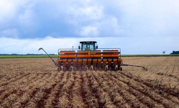 "Dentro del municipio, la lluvia no es generalizada. Es un reinicio tímido", señaló Carlos Simon, del Sindicato Rural de Lucas do Rio Verde, uno de los principales municipios en Mato Grosso.