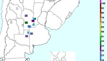Alivio para los suelos en Córdoba