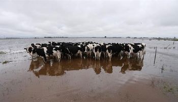 General Villegas: de 143 tambos que había en 2015 hoy quedan 85