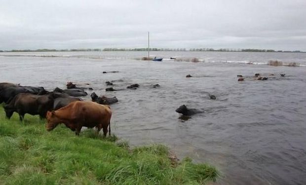 Buenos Aires, una zona de alto riesgo