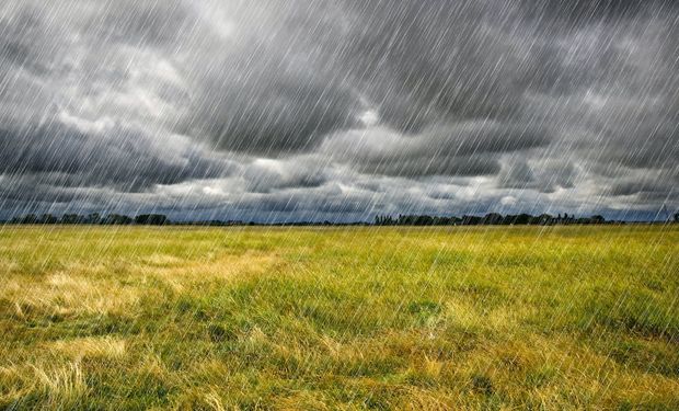 Lluvias en 8 provincias: "No alcanzan para revertir la falta pero son cruciales para seguir con las siembras"