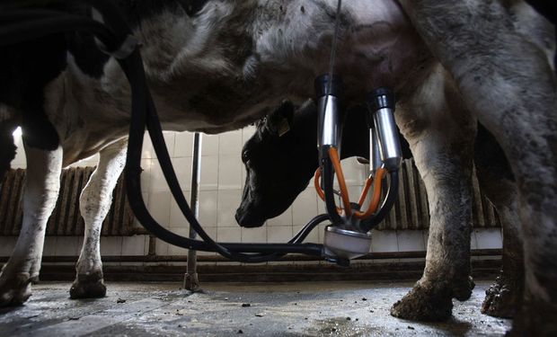 "En la zona de Toro Pujio hay productores que tuvieron que tirar la leche", señaló el funcionario.