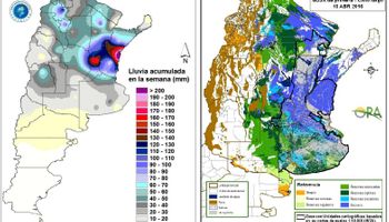 Con el clima en contra, siguen avanzando los excesos hídricos