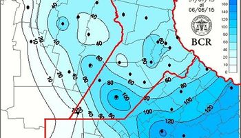 Tiemblan los bajos de trigo ante las lluvias