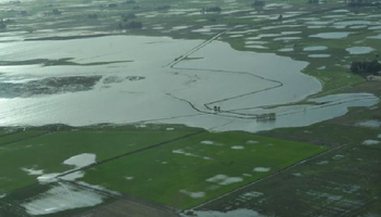 Lluvias sin precedentes colapsaron los suelos de la zona núcleo