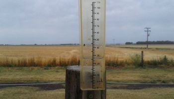 Llegaron las lluvias a las zonas afectadas por la sequía