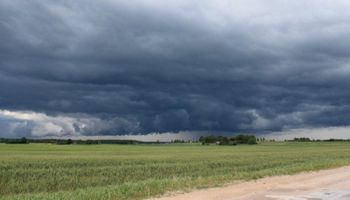 Se esperan nuevas lluvias en gran parte de la región pampeana: para cuándo