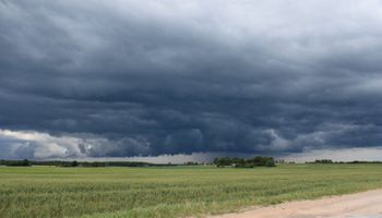 El año arrancó con lluvias en la región centro y hubo picos de 37 milímetros