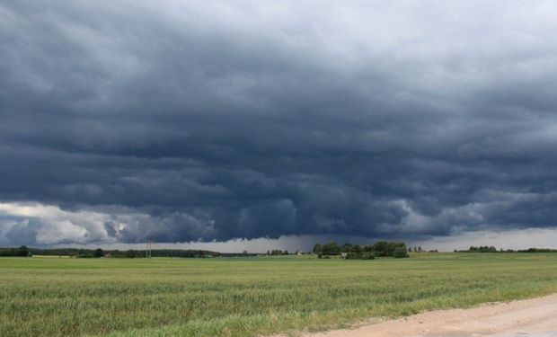 El año arrancó con lluvias en la región centro y hubo picos de 37 milímetros