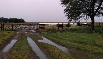 Lluvias en la zona núcleo: cuántos milímetros cayeron en cada localidad