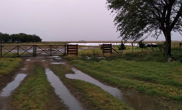 Lluvias en la zona núcleo: cuántos milímetros cayeron en cada localidad