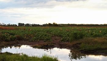 Octubre culminó con una excelente performance pluvial: cómo sigue el tiempo ahora