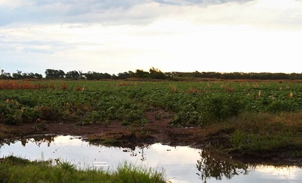 Octubre culminó con una excelente performance pluvial: cómo sigue el tiempo ahora
