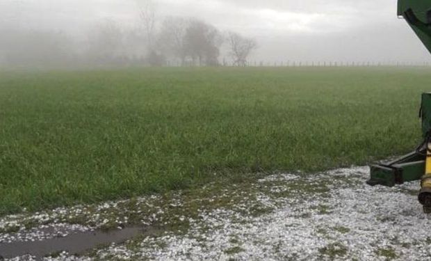 Alerta amarilla por tormentas en la región centro: dónde podría llover