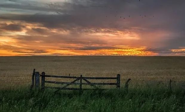 ¿Vuelven las lluvias y cambia el ambiente? Qué dice el pronóstico para el agro de los próximos dias 