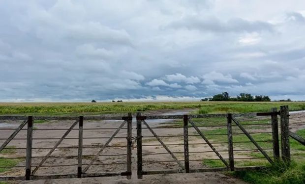 Alerta por tormentas y vientos fuertes: nueve provincias se encuentran bajo alerta amarillo del SMN