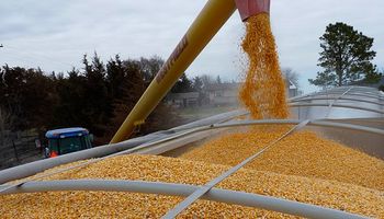SISA: cómo presentar la información productiva y hasta cuándo hay tiempo