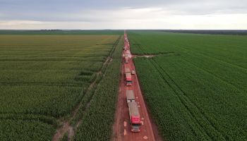 Mapa do Matopiba vai mudar: Piauí deve ganhar mais espaço na fronteira agrícola