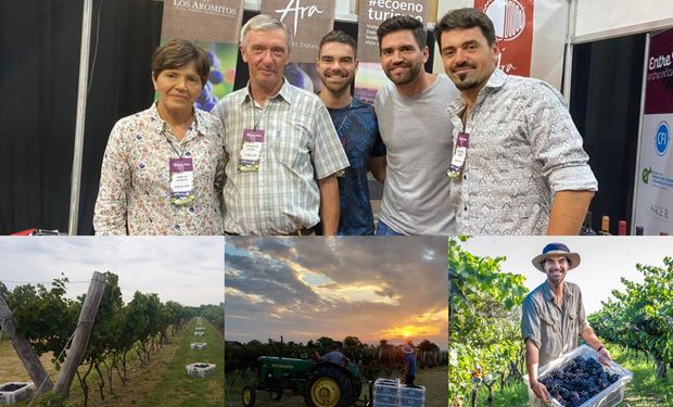 El sueño de una familia que busca reescribir la historia del vino entrerriano: producen 14.000 litros al año y apuestan por más