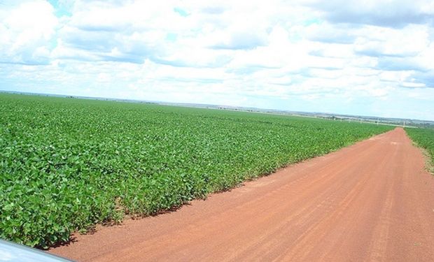 Municipios bonaerenses redoblan la presión impositiva sobre el campo