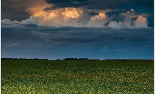 El campo espera con ansias la lluvia