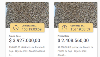 Subastan soja y maíz que decomisó la AFIP: cómo acceder y cuál es el precio de base