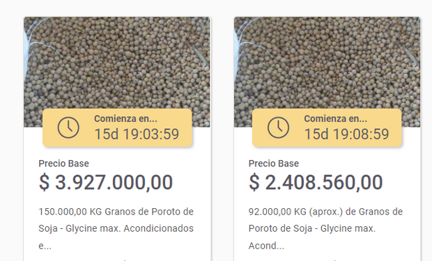 Subastan soja y maíz que decomisó la AFIP: cómo acceder y cuál es el precio de base
