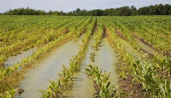 El día que se esperan más lluvias y el impacto que pueden generar en el campo
