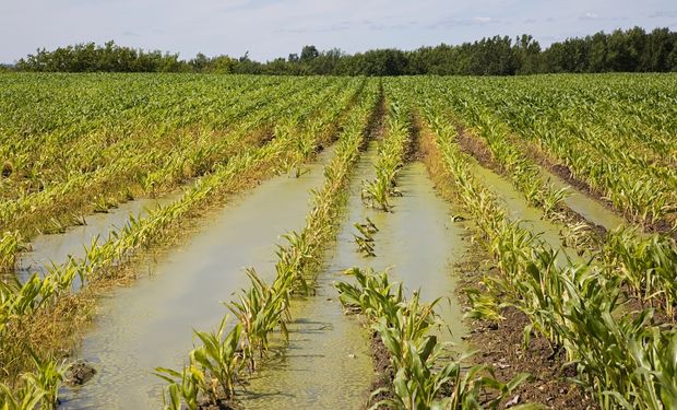 El día que se esperan más lluvias y el impacto que pueden generar en el campo