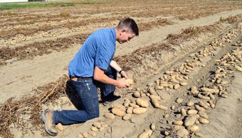 Alerta: el anuncio de Milei no alcanzó y se deteriora la confianza de los productores agropecuarios