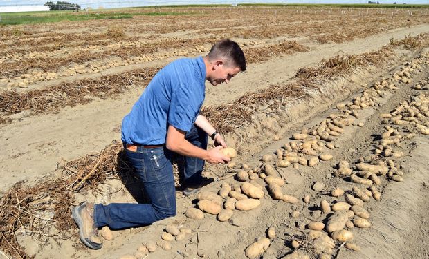 Alerta: el anuncio de Milei no alcanzó y se deteriora la confianza de los productores agropecuarios