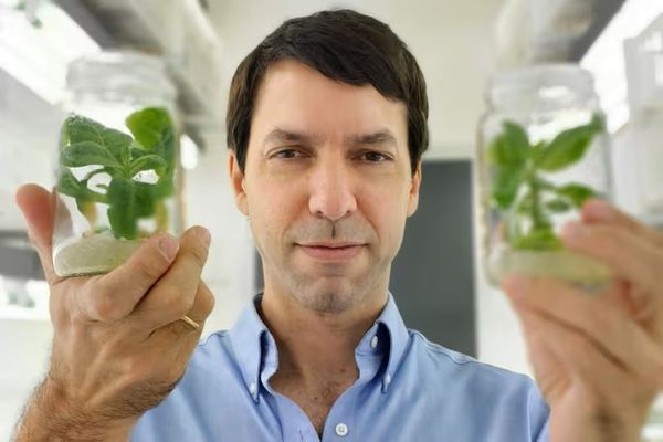 lucas lieber bioheuris