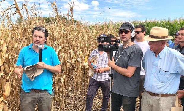 Maíz: la última gran investigación del agrónomo argentino que decidió mudarse a Estados Unidos