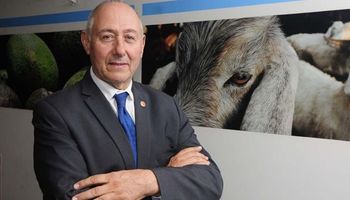 Por 16 votos, Francia retuvo la Organización Mundial de la Salud Animal (OMSA)