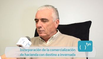 Cambios en el Mercado de Ganado Rosario