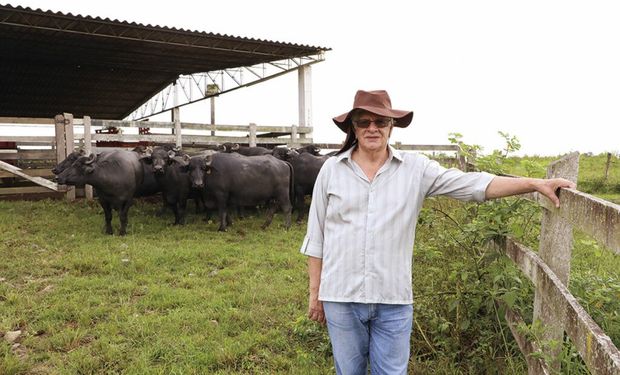 Produtor Luiz Carlos Chimin é defensor da criação dos búfalos. (fotos - Sistema CNA/Senar)