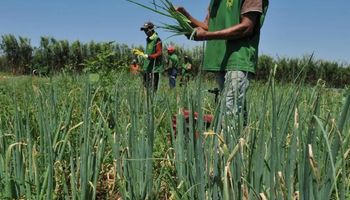 Lula assina decretos de desapropriação para reforma agrária em cinco estados