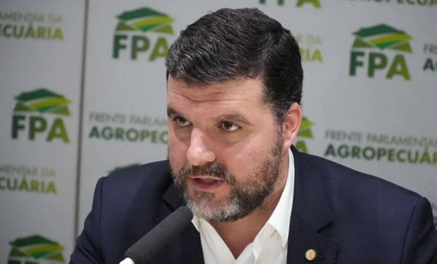 "Deve haver respeito ao que o Congresso aprovou por ampla maioria”, diz Lupion sobre marco temporal