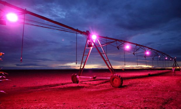 Pivôs centrais com fontes de luz já operam em várias fazendas no país. (Foto: Adriana Mendes)