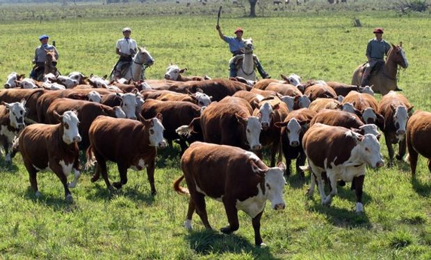 El traslado del trabajado rural y su familia.